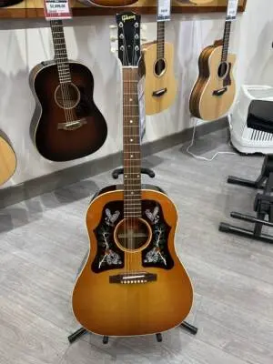 Gibson - ACMP45HCNH